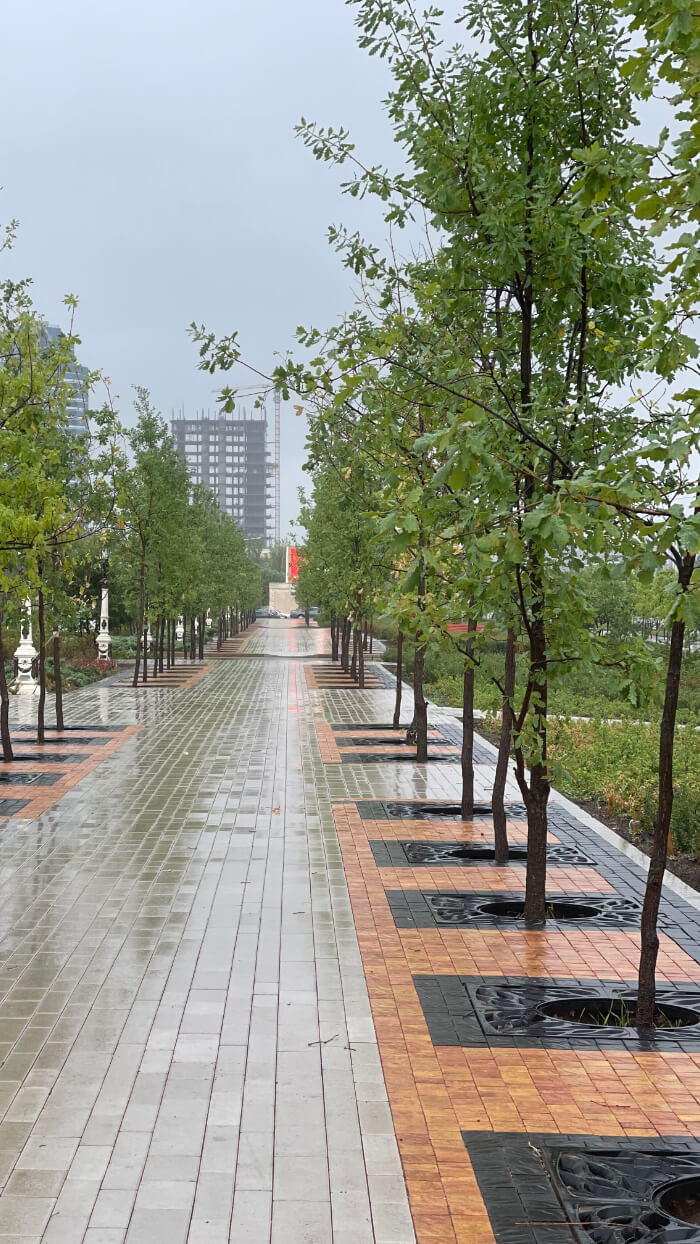 Приствольная решетка для дерева ZKING CRUST 1.2х1.2м Черная в Заринске фото