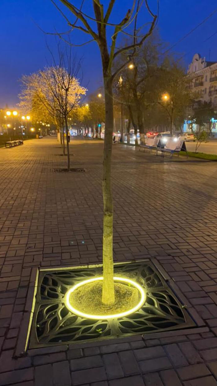 Приствольная решетка для дерева ZKING CRUST 1.2х1.2м Черная в Заринске фото